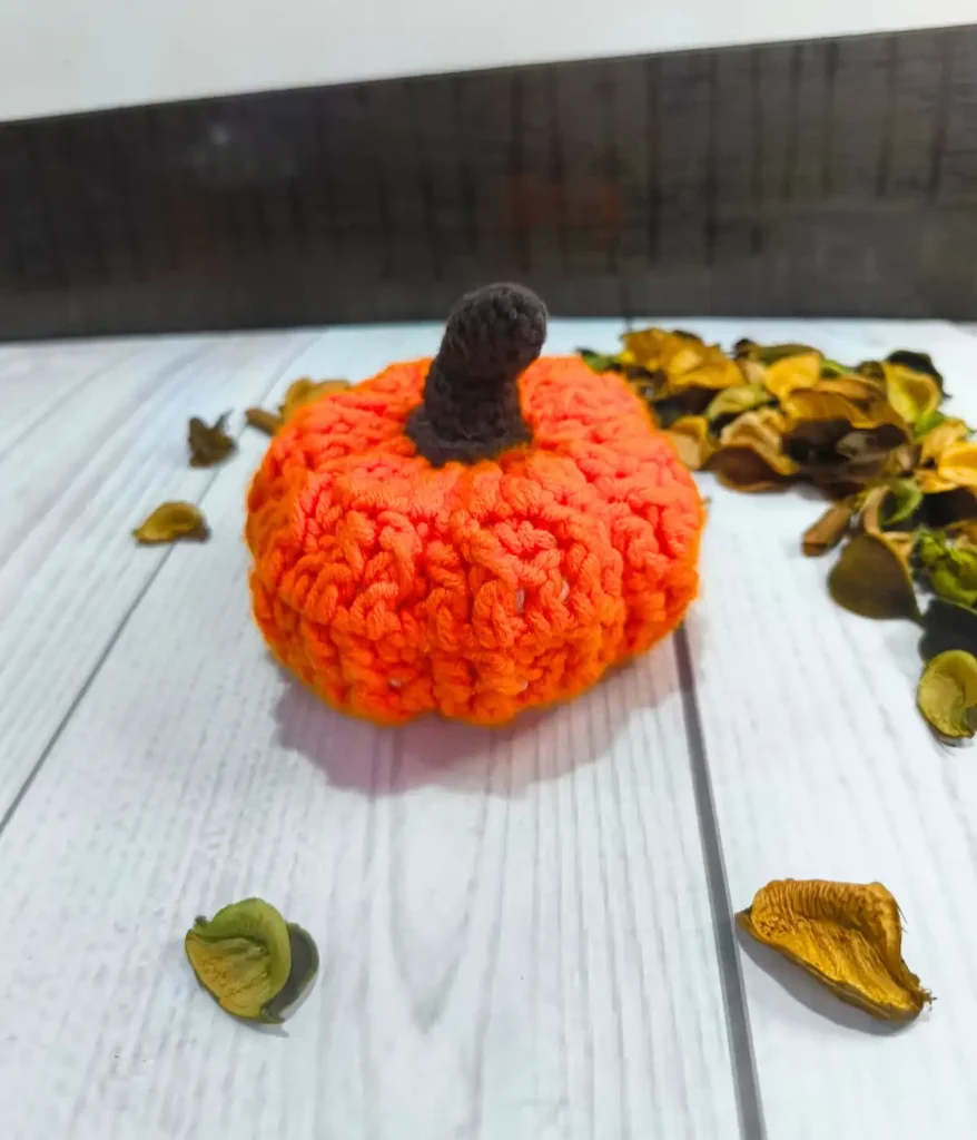 A small orange pumpkin with brown curved stem placed on a white table with dried leaves